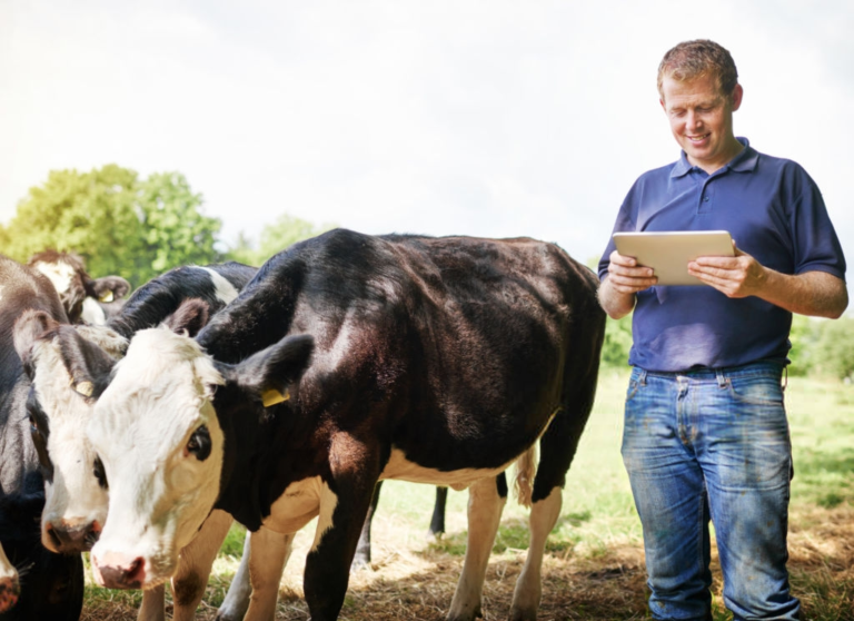 Farm Insurance: Complete Guide to Farm Insurance Policy