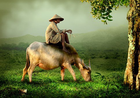 Agriculture In Nigeria
