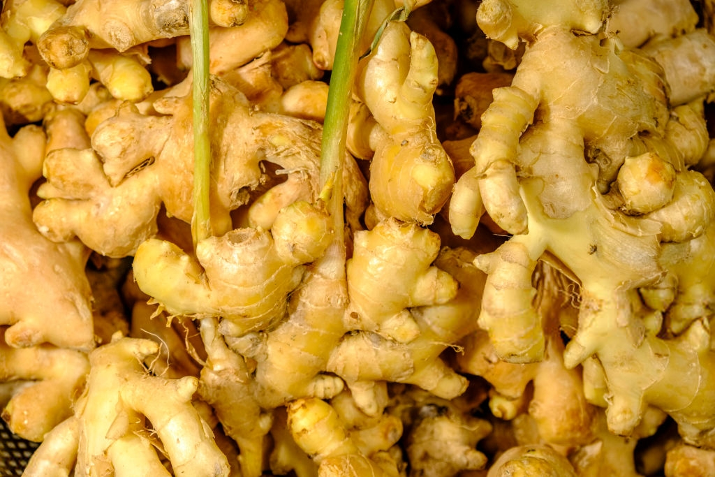GInger root