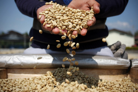 Squirrel Droppings: What Does Squirrel Poop Look Like?