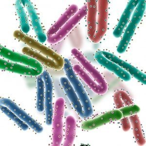 Marburg Virus Disease
