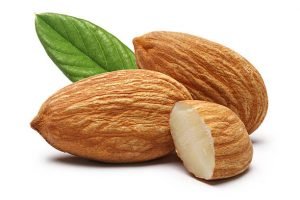 Are Almonds Bad For Dogs
