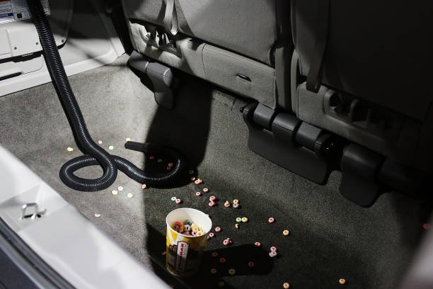 Ants In My Car