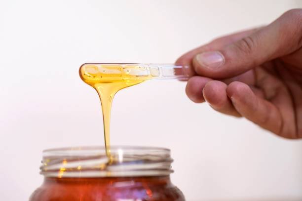 How Much Does a Gallon of Honey Weigh