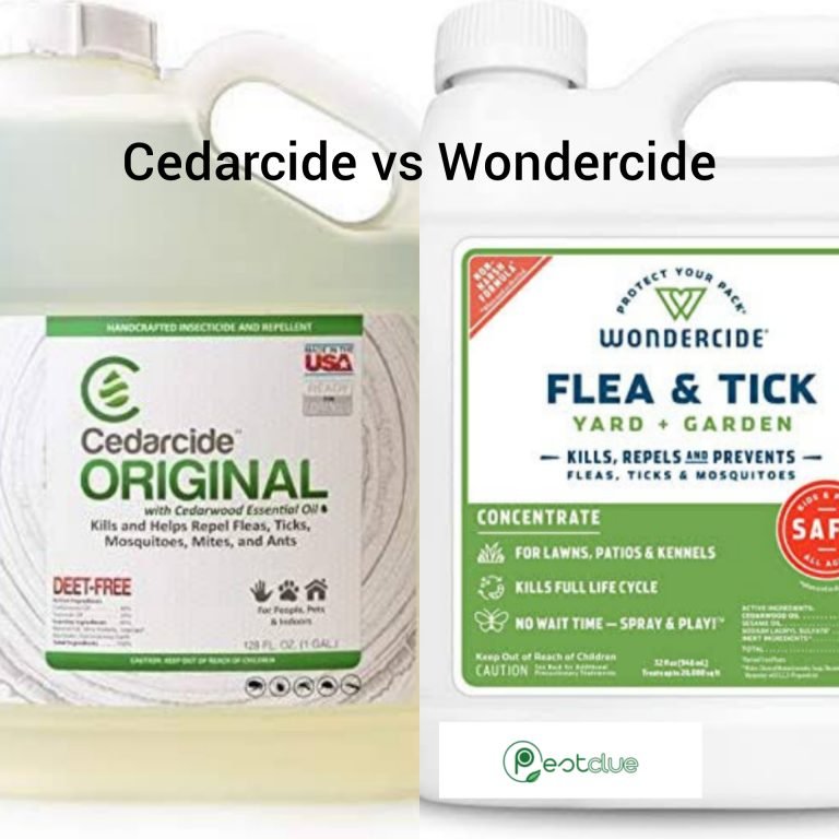 Cedarcide vs Wondercide Which is Better?