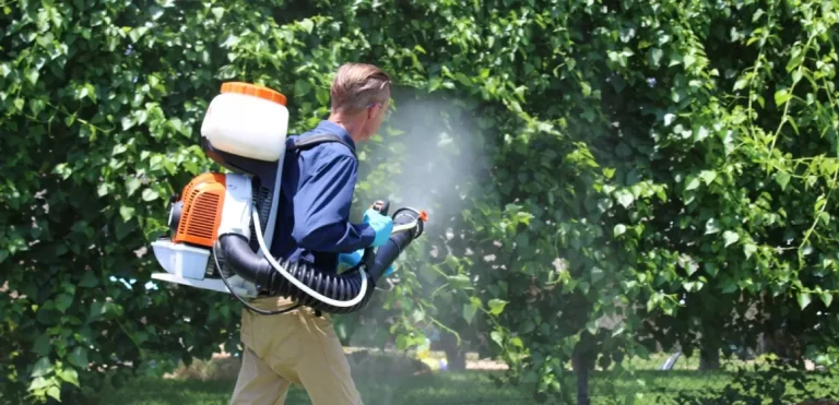 Backpack Suppression vs Misting Systems Mosquito Treatments