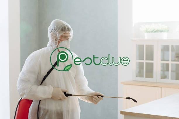 Phantom Insecticide