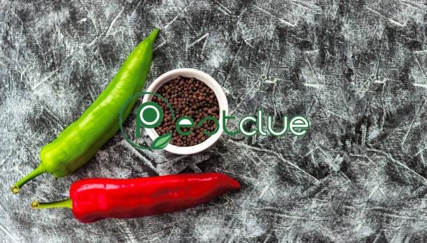 Cayenne Pepper and Black Pepper