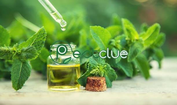 Peppermint Essential Oil