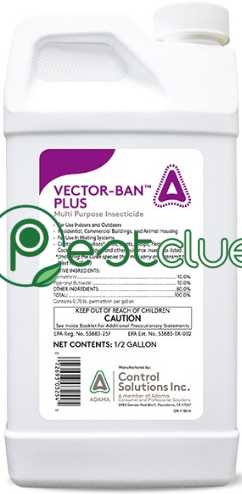 Vector Ban Plus