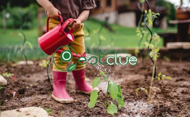 How to Prepare your Yard for Fall and Winter