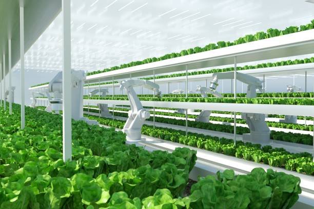 How To Stay Safe When Using Chemicals For Food Production