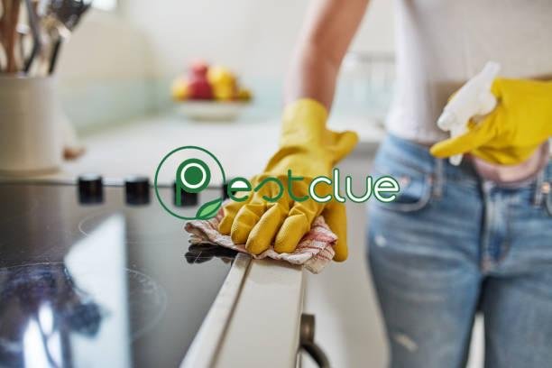 Keep Your Home Healthy With These Great Tips