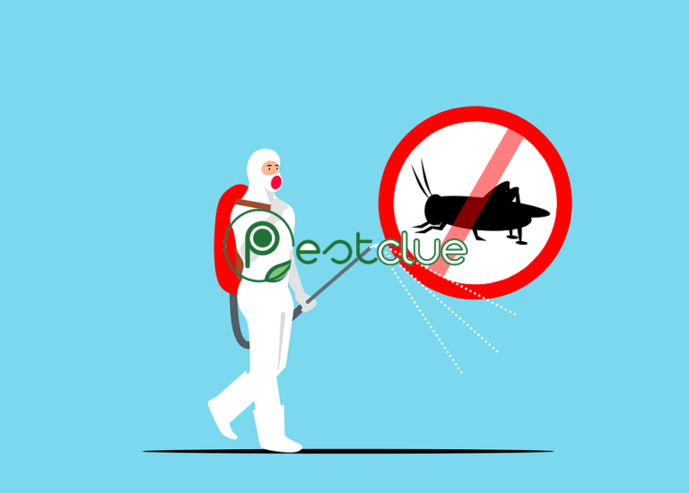 Easy Ways To Have A Pest-free Home
