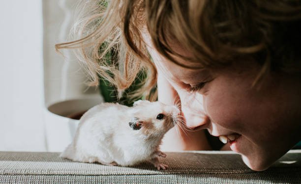 7 Types Of Animals That Make For Great Family Pets