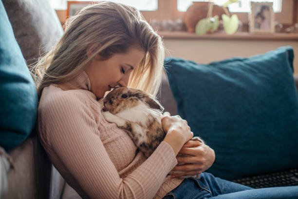 Affectionate Animals