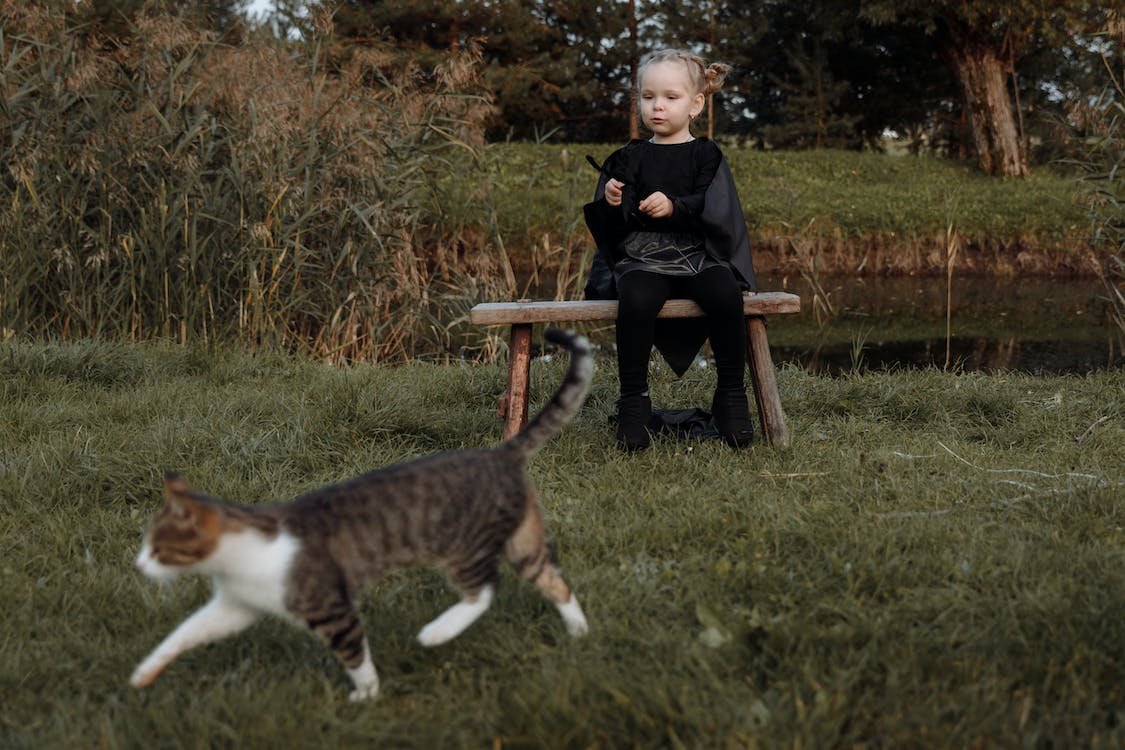 Animal adoption