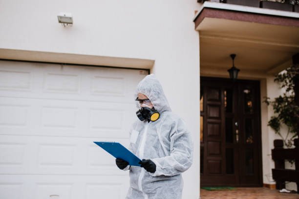Pest Control Mistakes That You Might Want to Avoid