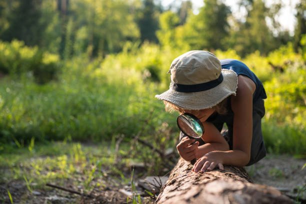 The Role of Entomology in Environmental Education