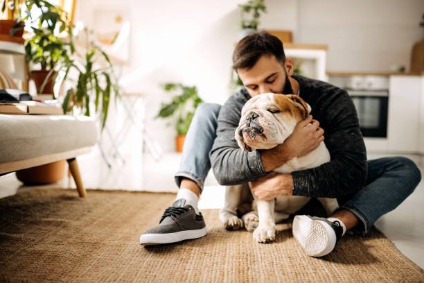 Reasons Why Students Should Consider Adopting Pets