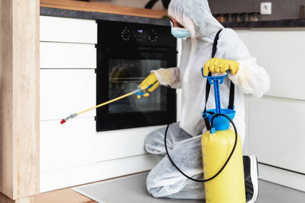 Mosquito Control Strategies