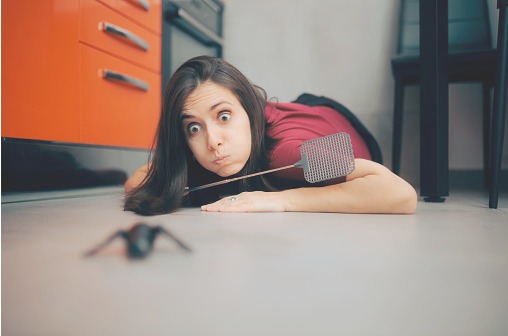 Signs of Pest Infestation in Rental Properties