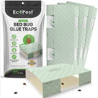 How to Use Glue Traps for Bed Bugs