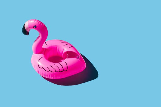 Birds that Are Pink