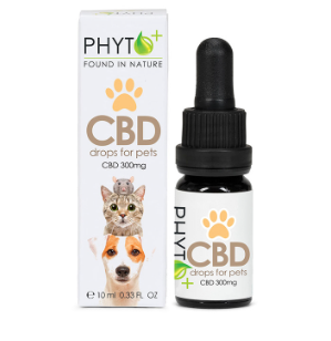 CBD Oil for Pets