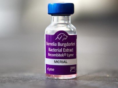 Lyme Vaccine For Dogs
