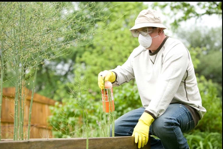 Tips to Improve Your Pest Control Business
