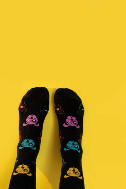 Custom Dog Socks