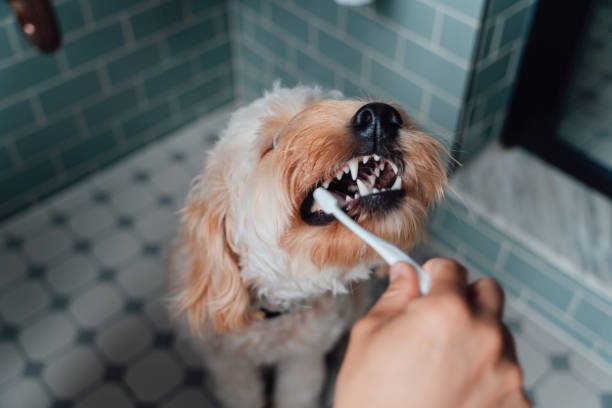 Dog Breath Mints
