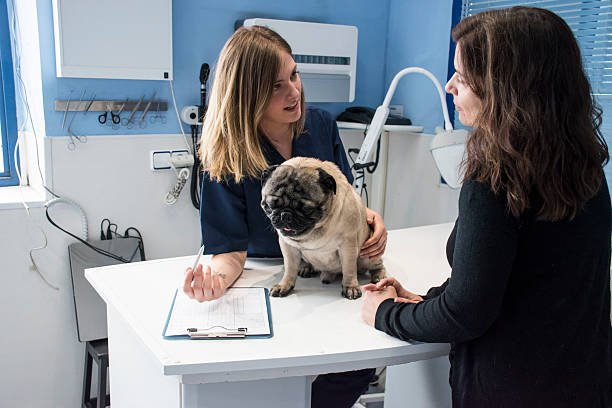 Heartworm Test For Dogs