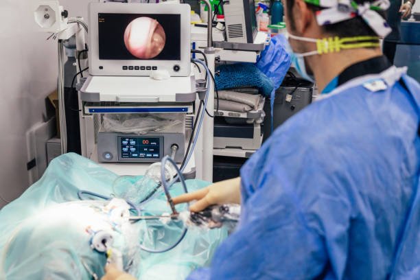 Dog Endoscopy