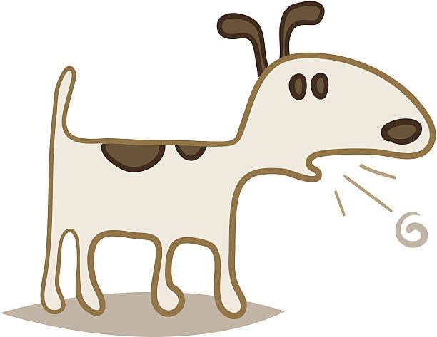 Dry Heaves In Dogs
