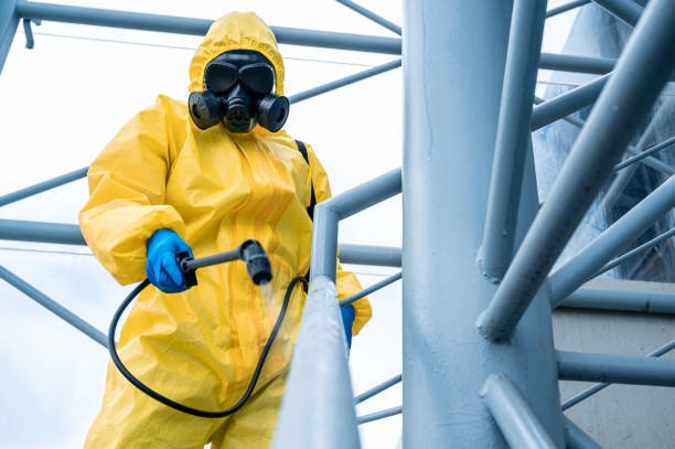 Why pet insurance affects the pest control industry
