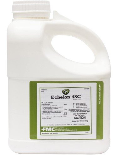 Echelon 4SC Herbicide