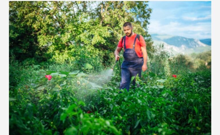 Naturally Repelling Garden Pests: Effective Strategies for a Pest-Free Yard