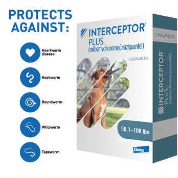 Interceptor Plus For Dogs Reviews