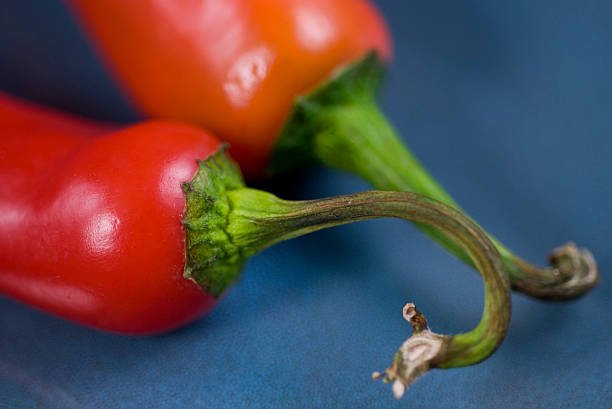 Fresno Pepper