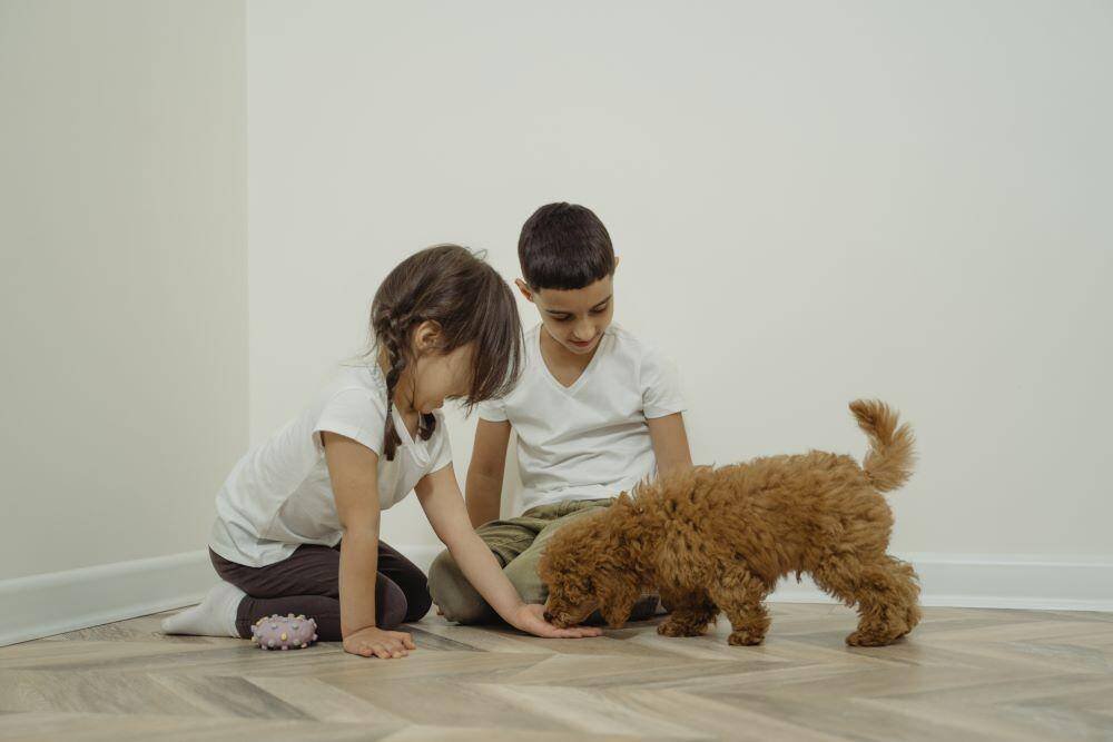 Children playing with puppy