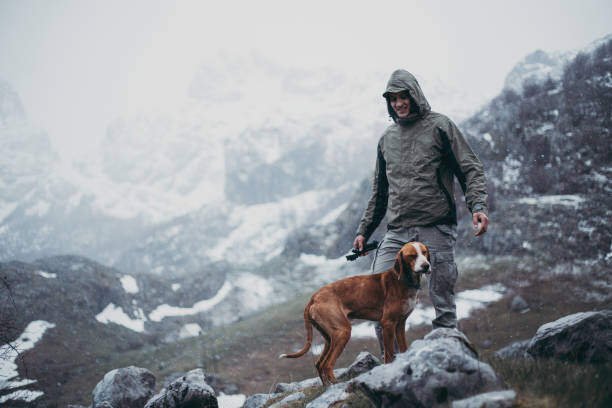 7 Ways to Better Care for Your Dog On a Rainy Day 3 Ways to Better Care for Your Dog On a Rainy Day