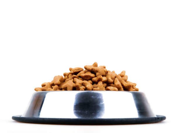 Pet’s diet