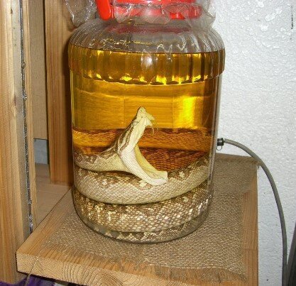 Habu Sake