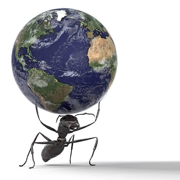 Biggest Ant in the World