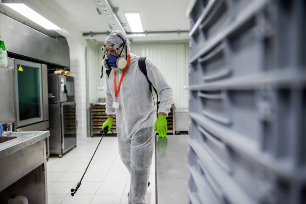 Managing Pests in the Laundry Shop