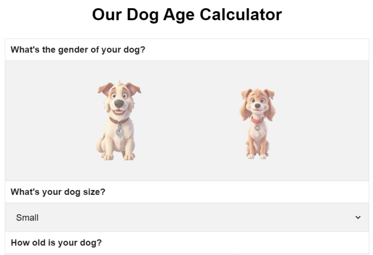 Dog age calculator tool