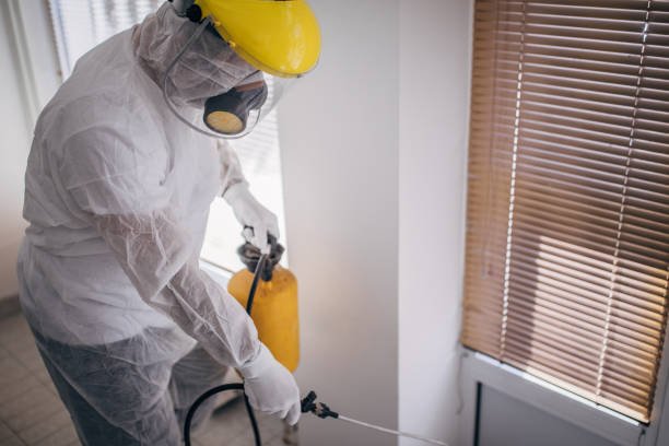 How to Keep Your Home Clean and Pest-Free