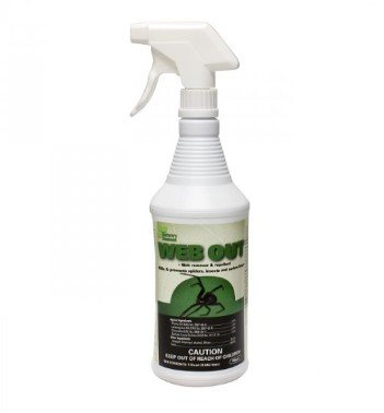 Web Out Cobweb Eliminator
